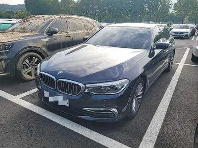 2020 BMW 520 WBAJF5107LCE18007 VIN:WBAJF5107LCE18007