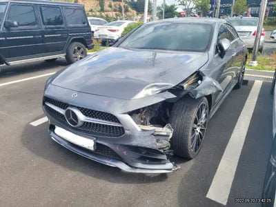 2019 Mercedes-Benz CLS 400 679KMWDD2J2DB6KA0 VIN:679KMWDD2J2DB6KA0