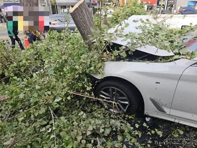 2018 BMW 520 354KMWBAJC3102JDB VIN:354KMWBAJC3102JDB