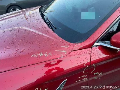 2019 Genesis G70 VIN: