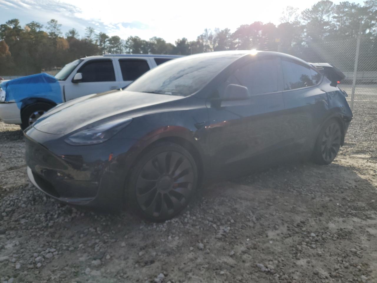 2024 TESLA MODEL Y  VIN:7SAYGDEF3RA323556