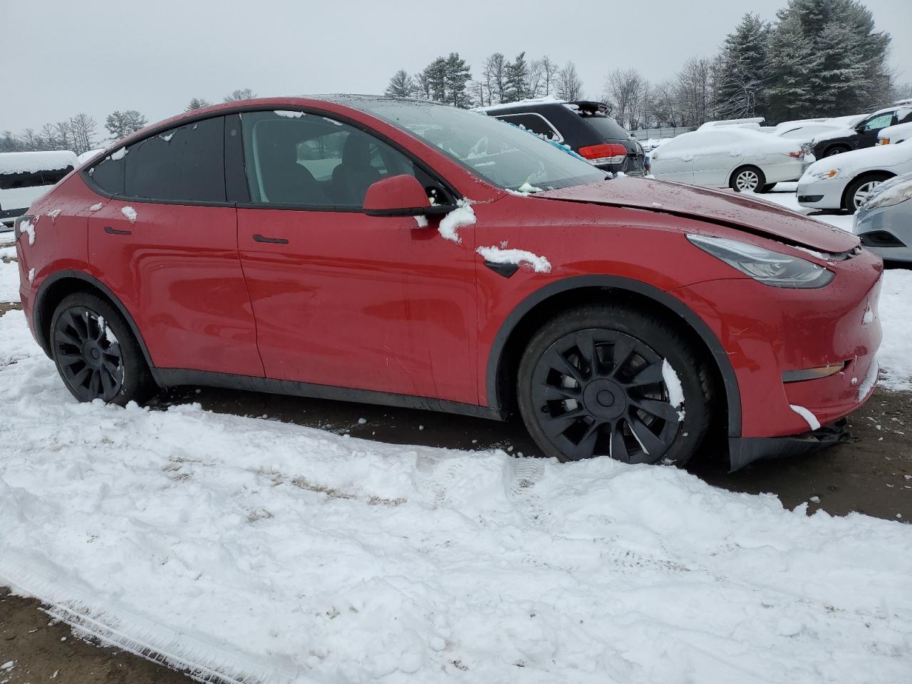 2023 TESLA MODEL Y  VIN:7SAYGDEE1PA128933