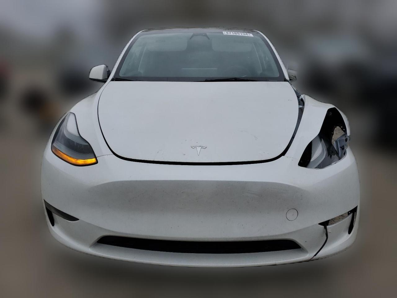 2023 TESLA MODEL Y  VIN:7SAYGAEE9PF624984