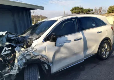 2020 Kia Sorento KNAPK81BDLA572897 VIN:KNAPK81BDLA572897