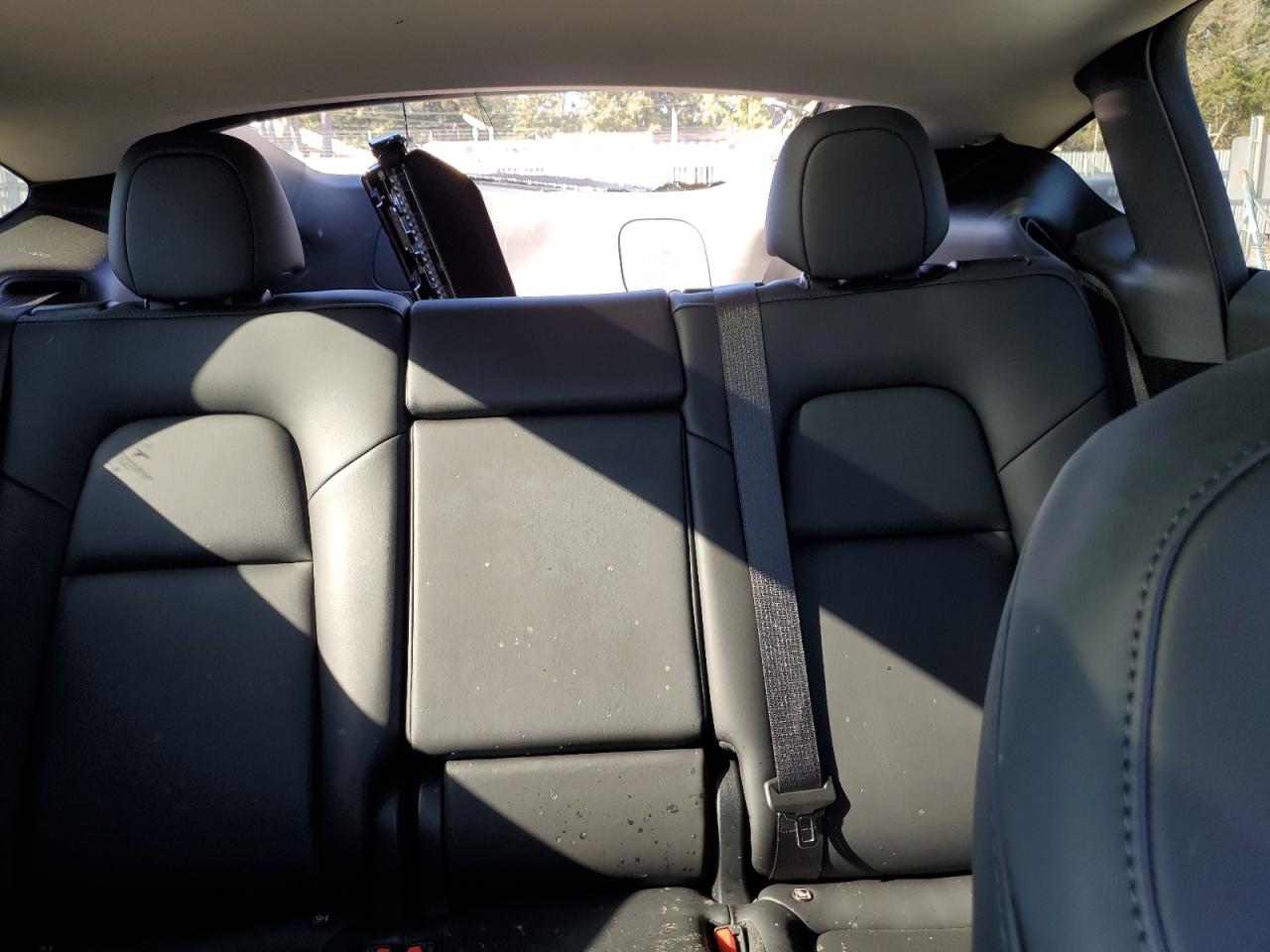 2024 TESLA MODEL Y  VIN:7SAYGDED3RF151577