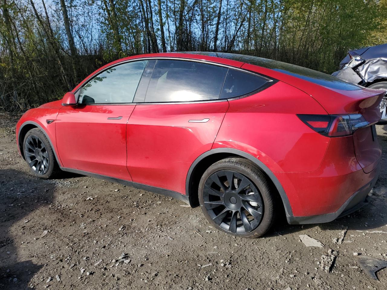 2023 TESLA MODEL Y  VIN:7SAYGAEE4PF871278