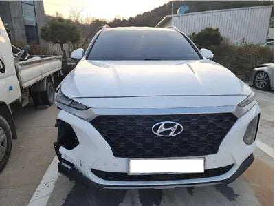 2019 Hyundai Santa FE KMHS281CBKU107302 VIN:KMHS281CBKU107302
