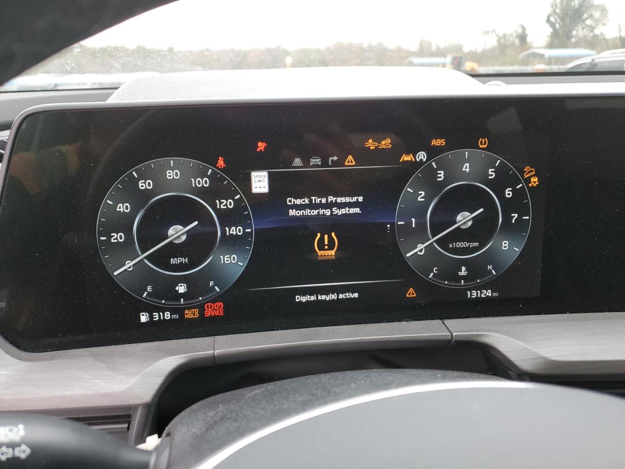 2024 KIA TELLURIDE SX VIN:5XYP5DGCXRG447353