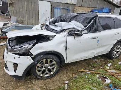 2020 Kia Sorento KNAPH81ABLA599695 VIN:KNAPH81ABLA599695