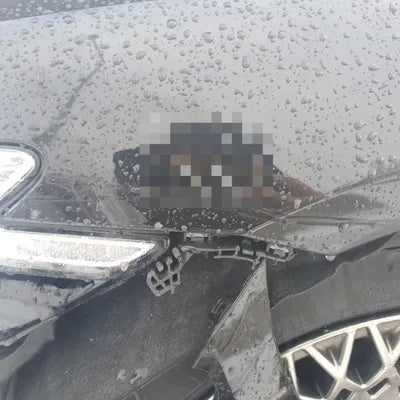 2019 Genesis G90 VIN: