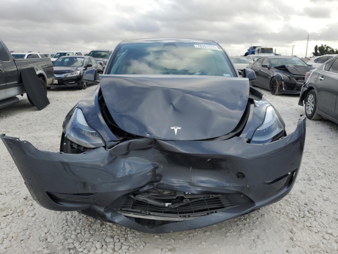 2023 TESLA MODEL Y  VIN:7SAYGDEE3PA165028