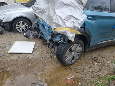 2019 Hyundai Kona KMHK281GFKU010192 VIN:KMHK281GFKU010192