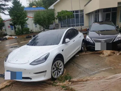 2021 Tesla Model 3 5YJ3E1EB4MF892162 VIN:5YJ3E1EB4MF892162