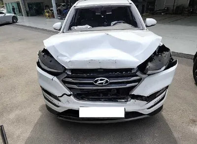 2018 Hyundai Tucson KMHJ381ABJU572102 VIN:KMHJ381ABJU572102