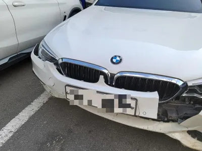 2020 BMW 520 WBAJF5102LWW84692 VIN:WBAJF5102LWW84692