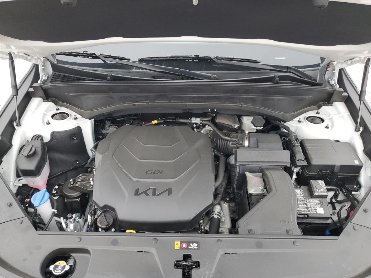2024 KIA TELLURIDE EX VIN:5XYP3DGC8RG546596