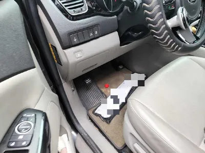 2014 Kia Carnival VIN: