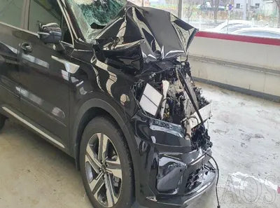 2021 Kia Sorento KNARH81GBMA026218 VIN:KNARH81GBMA026218