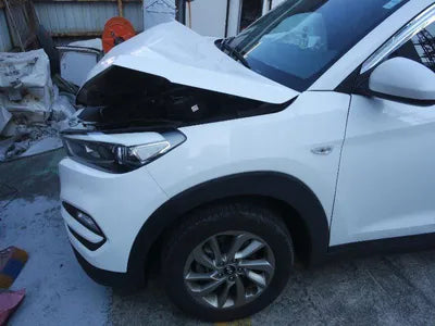 2016 Hyundai Tucson KMHJ281ADGU005363 VIN:KMHJ281ADGU005363