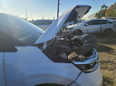 2021 Kia Carnival KNANE81BBMS103206 VIN:KNANE81BBMS103206