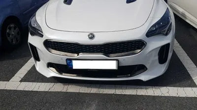 2021 Kia Stinger KNAE351DDMS096862 VIN:KNAE351DDMS096862