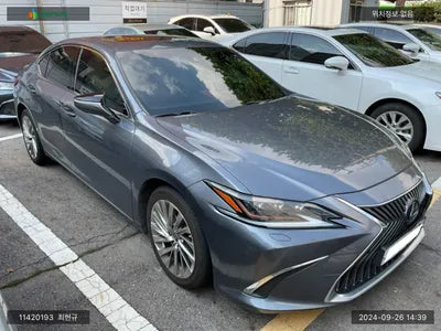 2019 Lexus ES 300 JTHB21B17K2047370 VIN:JTHB21B17K2047370