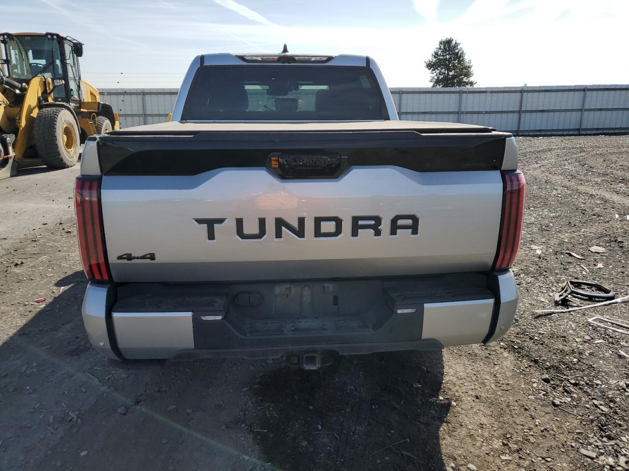 2023 TOYOTA TUNDRA CREWMAX PLATINUM VIN:5TFNA5DB4PX125709