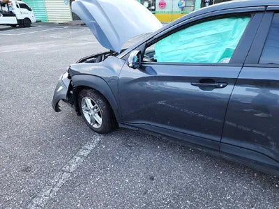 2018 Hyundai Kona KMHK3816GJU139771 VIN:KMHK3816GJU139771