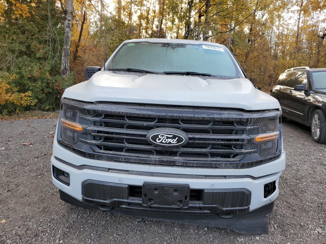 2024 FORD F150 XLT VIN:1FTFW3L82RFB46048