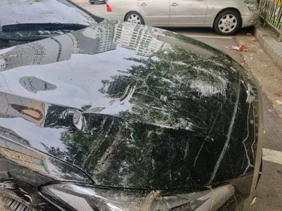 2017 Genesis G80 KMHGM41DDHU228167 VIN:KMHGM41DDHU228167