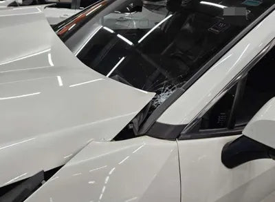 2019 Toyota RAV4 VIN: