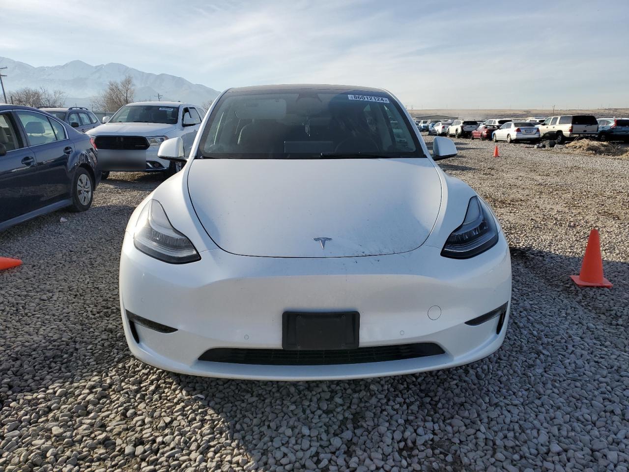 2022 TESLA MODEL Y  VIN:7SAYGDEE0NF385730