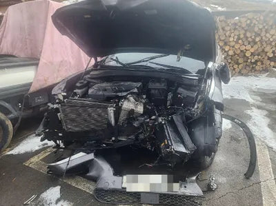 2019 Hyundai Santa FE KMHS381BBKU163688 VIN:KMHS381BBKU163688