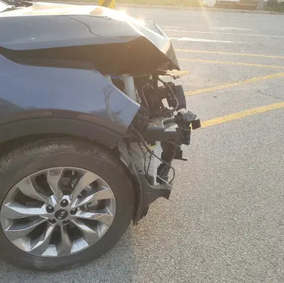 2019 Kia Sorento KNAPH81BBKA516242 VIN:KNAPH81BBKA516242
