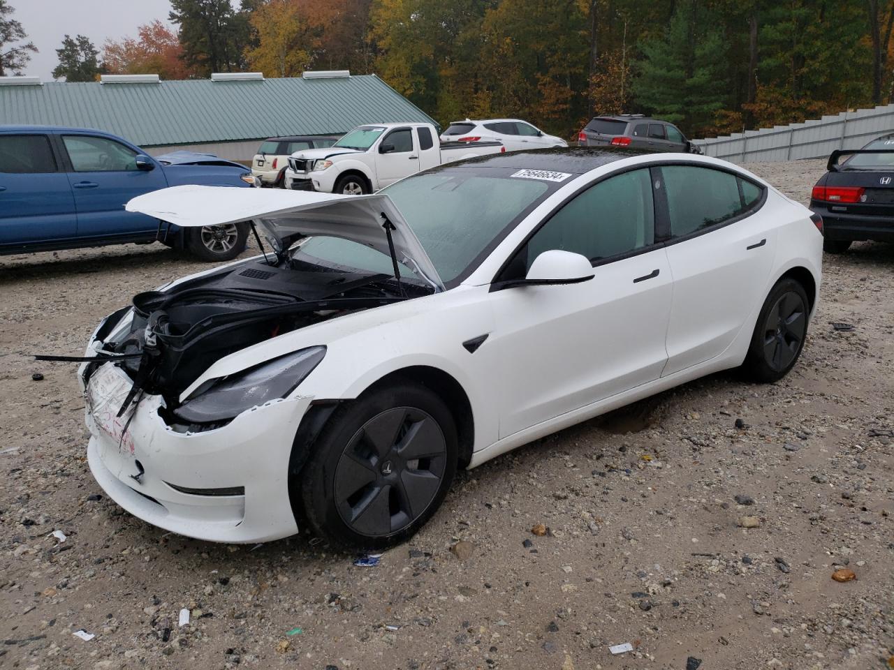 2023 TESLA MODEL 3  VIN:5YJ3E1EA9PF691451