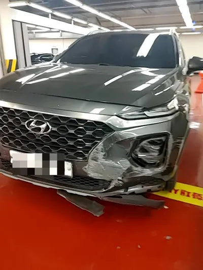 2019 Hyundai Santa FE KMHS281CBKU107302 VIN:KMHS281CBKU107302