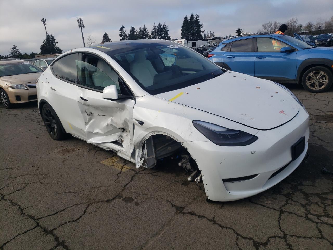 2024 TESLA MODEL Y  VIN:7SAYGAEE7RF077443