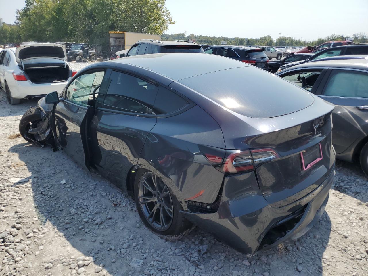 2024 TESLA MODEL Y  VIN:7SAYGDED3RF114643