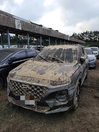 2019 Hyundai Santa FE KMHS281BBKU181827 VIN:KMHS281BBKU181827