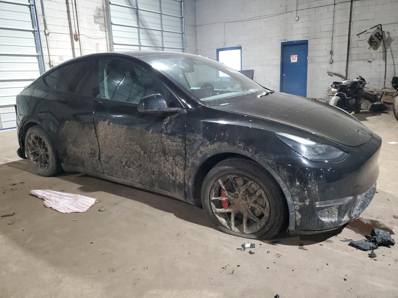 2022 TESLA MODEL Y  VIN:7SAYGDEF7NF564520