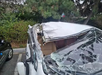 2018 Kia Carnival KNAMB81ABJS417601 VIN:KNAMB81ABJS417601
