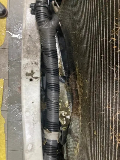 2016 nissan cashkai VIN: