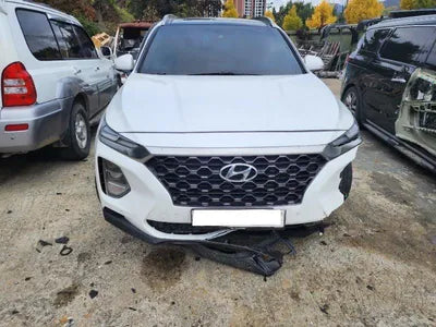 2019 Hyundai Santa FE KMHS381BBKU168509 VIN:KMHS381BBKU168509