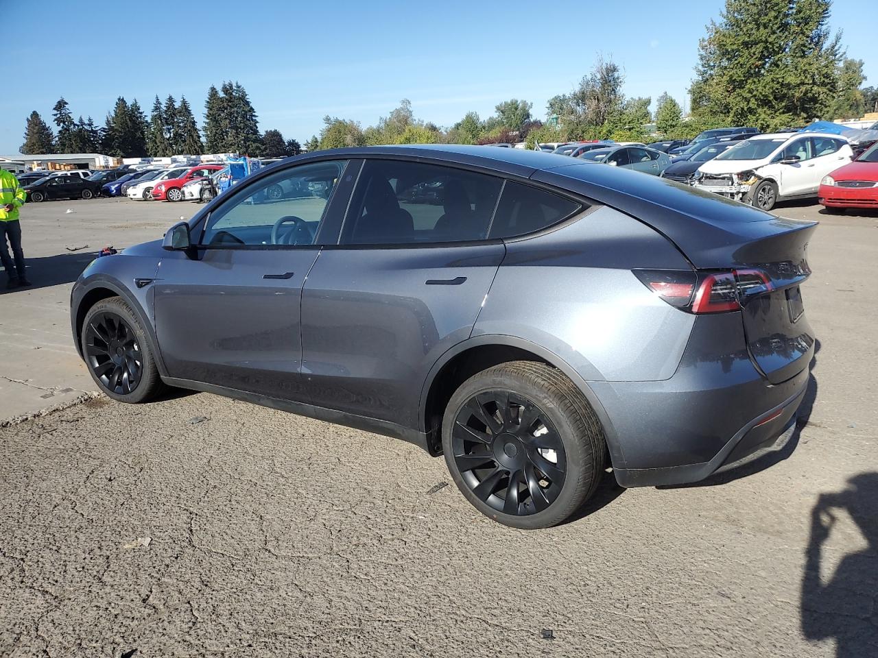 2023 TESLA MODEL Y VIN:7SAYGDEE6PA119497