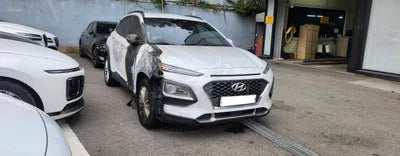2019 Hyundai Kona KMHK4815GLU509960 VIN:KMHK4815GLU509960