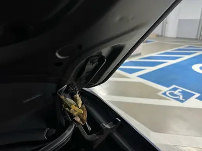 2022 BMW X4 KMHJC81BGNU112498 VIN:KMHJC81BGNU112498