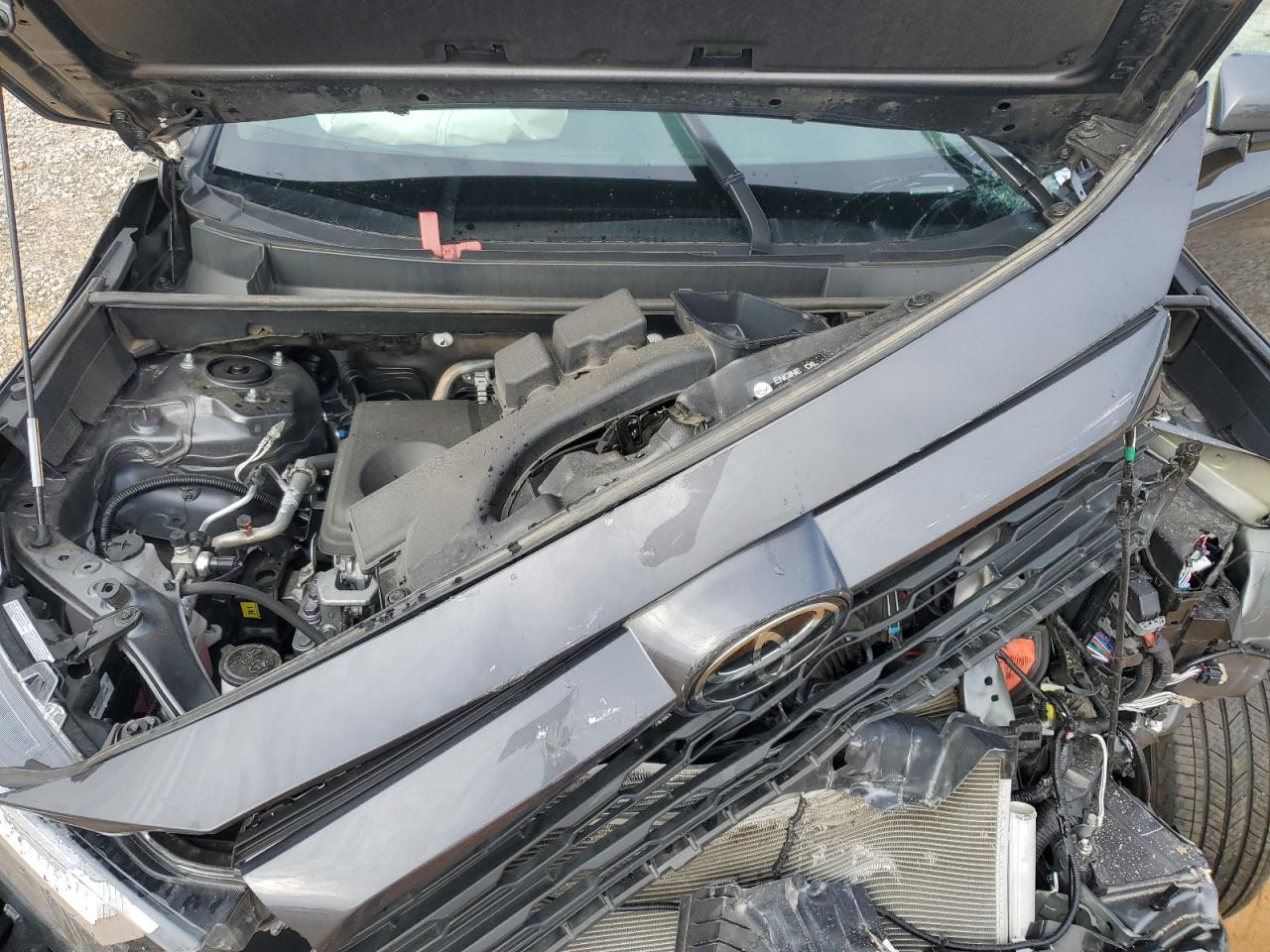 2024 TOYOTA RAV4 XLE VIN:2T3W1RFV6RW349249