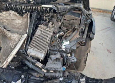 2021 Kia Carnival KNANC81BBMS018195 VIN:KNANC81BBMS018195