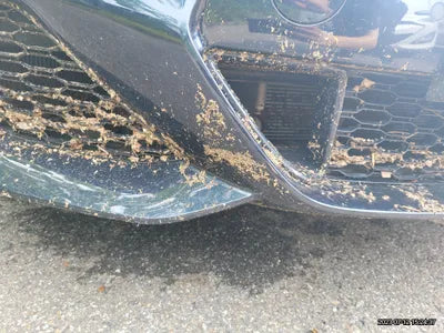 2022 BMW 840 WBAGV4108NCJ40788 VIN:WBAGV4108NCJ40788