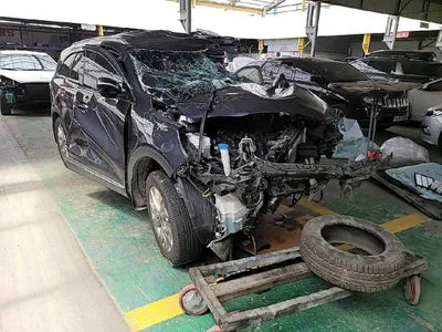 2019 Kia Sorento KNAPS81BBLA557183 VIN:KNAPS81BBLA557183